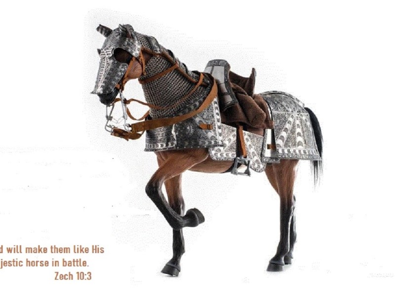 B4 The Man of War rides you into&nbsp;Battle.