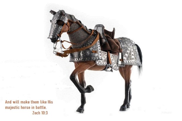 B4 The Man of War rides you into&nbsp;Battle.