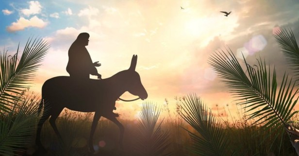 5 Lessons the Colt learned during Easter Celebration…