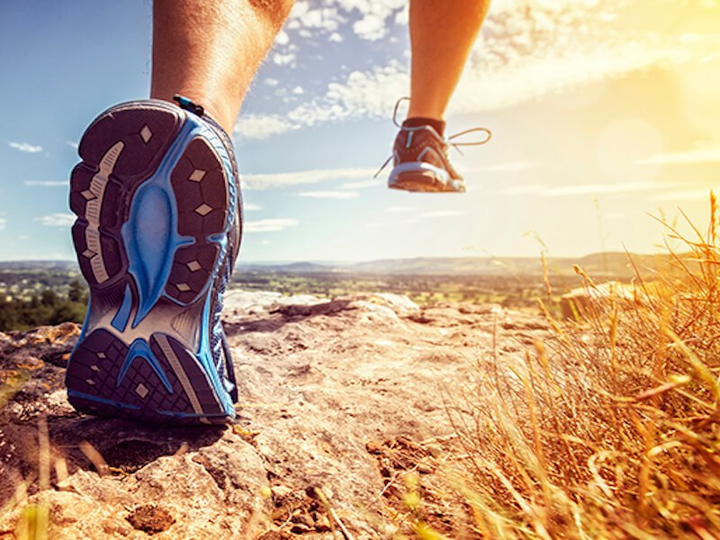 The Heavenly Vision: The reason we&nbsp;run!