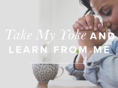 Understanding The Yoke of The Lord: Discipleship&nbsp;Toolkit.