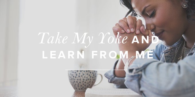 Understanding The Yoke of The Lord: Discipleship&nbsp;Toolkit.