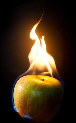 Our Fruit, Our Calling & The Test of&nbsp;Fire!
