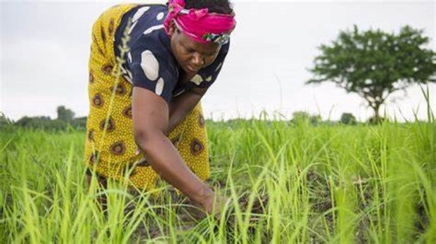 JAEL | Glory from the&nbsp;Ordinary!