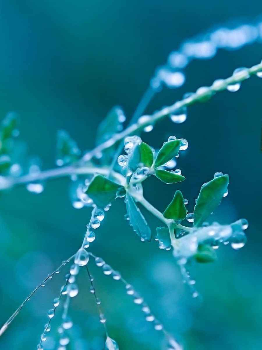 April Showers : New Month&nbsp;Professions.