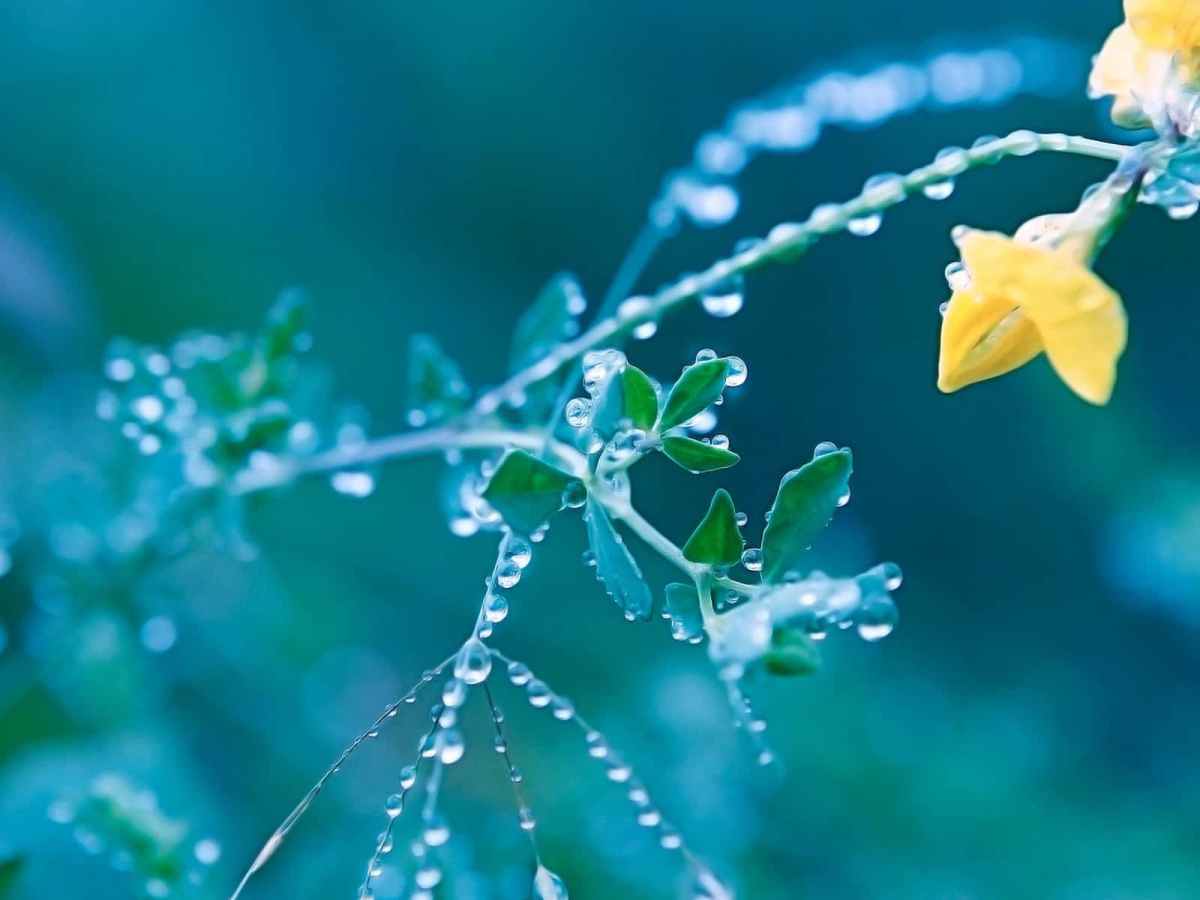 April Showers : New Month&nbsp;Professions.